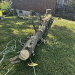 b5141068 7595 49b2 9d55 fa39836412d6