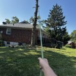 be598ed7 cb27 4a93 b92a dc255614ff1c